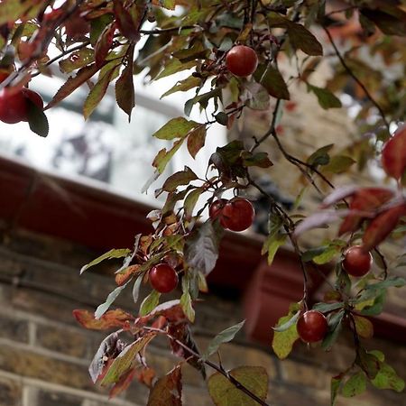 Luxury London Garden Home Sleep 7, 2 Mins To Metro Londres Exterior foto