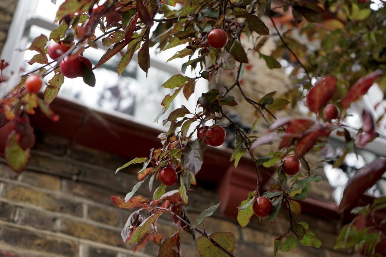 Luxury London Garden Home Sleep 7, 2 Mins To Metro Londres Exterior foto